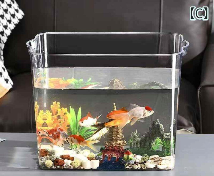 楽天市場】水槽 蓋付き ふたなし 金魚 魚 水生生物 かめ 透明 家庭用 