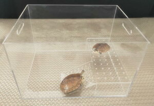   35cm 40cm 45cm 50cm 55cm 60cm {bNX Jo[Ȃ J   ƒp rO[ ItBX WȂ ^ Gr ybg  ͒ Vv y Ɨp g₷  