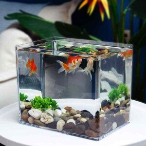  60cm 25cm 30cm 35cm 40cm 50cm ^ ^  Jo[Ȃ    JG Gr ͒ ƒp rO[ ItBX lp WȂ y g₷ 􂢂₷  傫 ^