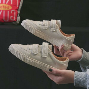 Xj[J[  fB[X JWA V[Y w ^ ʋ }} }U[YV[Y zCg }WbNe[v X|[c W[ AEghA ʊw I[V[Y C Vv Xj[J