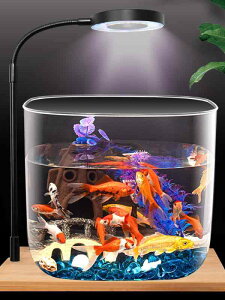  29cm  ^  ybg   ^N WȂ {bNX J ƒp ItBX rO[ Gr  X[ u₷ ANAE eE  g₷ 