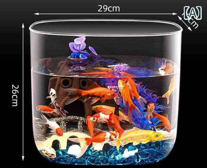 楽天市場】水槽 29cm 小さめ 小型 魚 ペット 金魚水槽 透明 タンク 蓋 