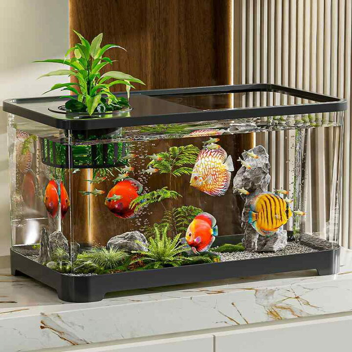 楽天市場】金魚水槽 33cm 39cm 小さめ 水槽 魚 金魚 タンク ボックス 