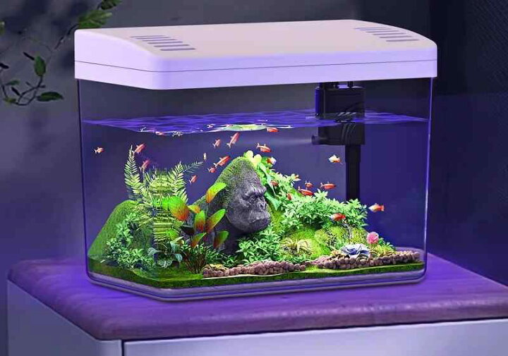 楽天市場】金魚水槽 40cm 50cm 中型 大きめ 透明 水槽 魚 カメ 亀 金魚 