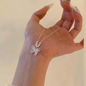  lbNX  ANZT[  fUC  NX^ fUC`F[ {bNXt  Vo[ Vi  fB[X 킢  ꂢ ł p[eB[ W