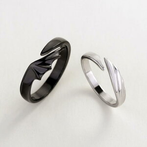 リング 指輪 アクセサリー ジュエリー レディース 女性用 メンズ 男性用 オールシーズン フリーサイズ 調節可能 ブラック シルバー イミテーション ペア こなれ感 デート おしゃれ かっこい