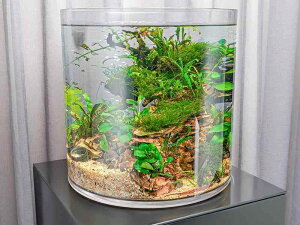  Uh~ Xg[g rO ^ ~ ^ vX`bN  CeA NA  ꂢ GKg    Ȃꊴ  I[V[Y 킢 V