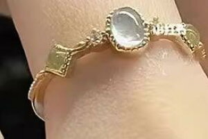 O w ANZT[ WG[ fB[X   Xg[ C~e[V Vo[  bL Vv JWA ItBX f[g 킢  ꂢ 10 20 ̊