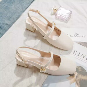 pvX C V[Y fB[X XNGAgD ₷  [q[ `L[q[ q[ tFCNU[ p[ C~e[V Xgbv 傫TCY n  t H ~