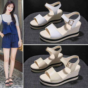 T_  t p JWA K ꂢ fB[X nCq[ tbgq[ AEghA  킢 pr wZ ʊw o q f[g Xgbv zCg x[