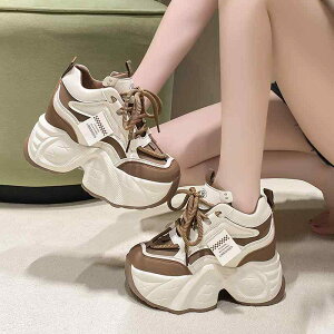 Xj[J[ C V[Y p fB[X  [XAbv 킢   JWA ݊  ؍n I` 20 CX^f o zCg  uE 