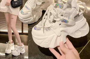 Xj[J[ V[Y C p fB[X bV  [XAbv 킢    JWA I ݊  CX^f ؍n I`  o