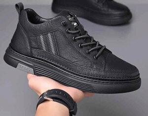 Xj[J[ jp Y C  V[Y  ubN {v JWA  킢  Vv  X}[g r ʋC 炩 pr I ʊw f[g 