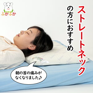 Ⴂ hN^[s[050 5cm 60x40cm    Xg[glbN r[] X}z 񉺂 Lw ŃwjA 񂪒Z H΂   񂱂 ebNX
