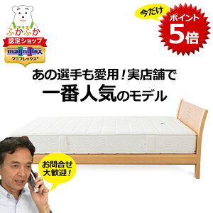 y܃|Cg5{z}jtbNX tbOFX  5060̃xbh}bgX@magniflex OWA[f 22cm n Q т ċzǌQ Q }jXe