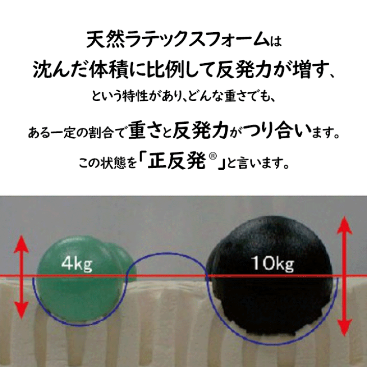 楽天市場】【クーポンあり】低い枕 ドクターピロー050 高さ5cm 楽天市場】【クーポンあり】低い枕 ドクターピロー050 高さ5cm