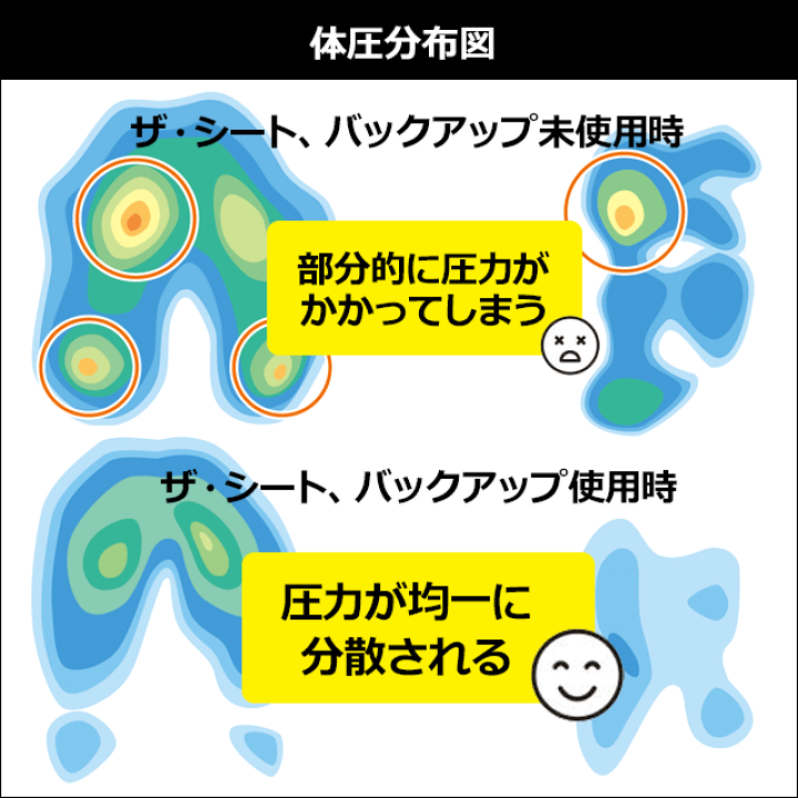 楽天市場】ボディドクター ザ・シートとバックアップの2点セット