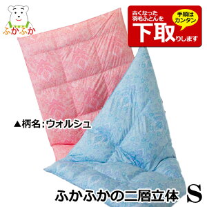 y肠z|[hYzCgO[X 2w̉HтӂƂ S VO 150x210cm _Ep[400ȏ CS[hx _E93 1.3kg Ynؖt 80Ten {