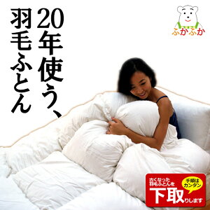 y肠z|[hYzCgO[X nHъ|ӂƂ ӂӂnCp[ _Ep[400ȏ CS[hx _E93 Ynؖt 80Ten { 