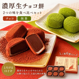 送料込み 抹茶スイーツ 生チョコレート 抹茶 餅 生チョコ餅 ギフト 御中元 帰省 手土産 お取り寄せ　深川ちよこ 深川まちこ バレンタイン ホワイトデー 進物 贈答用 ギフト スイーツ 食べ比べ 食べ比べセット 和菓子 お菓子 チョコレート チョコ餅