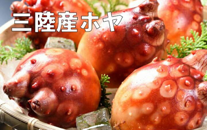 291円 【2021正規激安】 ほやの一夜漬け 130g 石巻 宮城 塩辛 新鮮 通販 水月堂物産 291円 【2021正規激安】 ほやの一夜漬け 130g 石巻 宮城 塩辛 新鮮 通販 水月堂物産