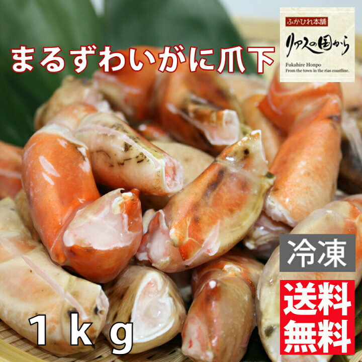 楽天市場 まるずわいがに カネダイ ボイルまるずわいがに まるずわいがに爪下リングカット 800ｇ 総重量１ｋｇ 送料無料沖縄県離島以外 ズワイガニ各種 爪肉 ボイル済み 業務用 冷凍 まるずわいがに ディープシーレッドクラブ ふかひれ本舗