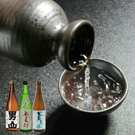 日本酒セット 石渡商店 父の日ギフト【日本酒】気仙沼地酒セット【気仙沼 地酒】【日本酒 飲み比べ】【日本酒 セット】【父の日】【角星】【男山】【日本酒セット】