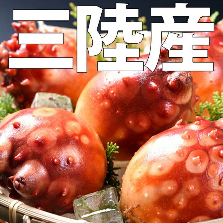 楽天市場 ほや おさしみほや 横田屋本店 気仙沼 ホヤ おさしみほや 300ｇ 三陸 珍味 ほやむき身 三陸 ほや 冷凍 おさしみほや 酒の肴 日本酒に合う ふかひれ本舗