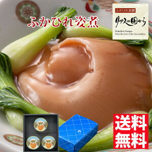 ӂЂp ΓnX ӂЂp 3ʃMtgZbg ӂЂpσZbg
