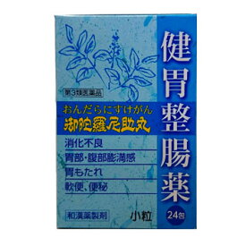 【第3類医薬品】御陀羅尼助丸（20丸×24包） オンダラニスケガン おんだらにすけがん 食べ過ぎ 飲み過ぎ 胸やけ ニタンダ 胃腸薬 置き薬 配置薬 常備薬 広島 二反田薬品工業