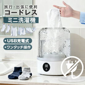 ミニ洗濯機 コードレス 小型洗濯機 1L タイマー機能付き 旅行 収納 持ち運び 果物洗い 便利 洗濯機コンパクト 食器拭き洗い 一人暮らし バケツ洗濯機 電気バケツ洗濯機 クリーナー 靴下洗濯機 下着洗濯機 ベビー服 新生活 別洗い