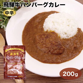 飛騨高山 飛騨牛ハンバーグカレー 中辛 200g 飛騨牛 飛騨 高山 ビーフ カレー 中辛 スパイシー お土産 おみやげ レトルト 飛騨高山牧場