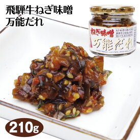 期間限定 特別価格 飛騨牛ねぎ味噌 210g 飛騨のソウルフード 郷土料理 ねぎ味噌天ぷら 飛騨牛ねぎ 味噌万能だれ 惣菜 おかず ご飯のおとも 飛騨高山 飛騨 岐阜 ふく福 おみやげ