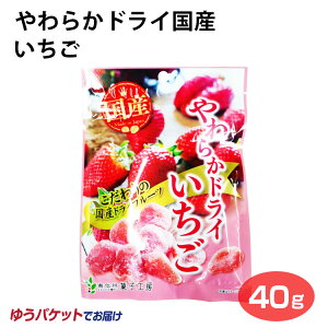 炩hCY 40g [ hCt[c Y Y100@F@|Pbgَq@MBَqH[