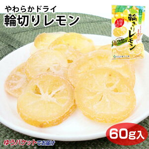 炩hC֐؂背60g hCt[c Y Y100 F |Pbgَq MBَqH[