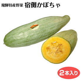 【8月下旬より順次発送予定】＼産地直送！／数量限定 宿儺かぼちゃ2本入り すくなかぼちゃ 飛騨特産野菜 野菜 ギフト 贈り物 宿儺さま 飛騨 高山 土産 おみやげ ふく福【99】