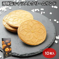 飛騨 塩キャラメルクリームサンド 10枚入（1箱/12箱セット） お菓子 洋菓子 スイーツ ギフト お土産 岐阜…