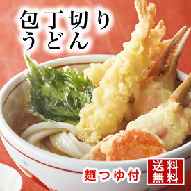 本格 包丁切り 讃岐うどん つゆ付 10袋 20食 半生 さぬきうどん 送料無料