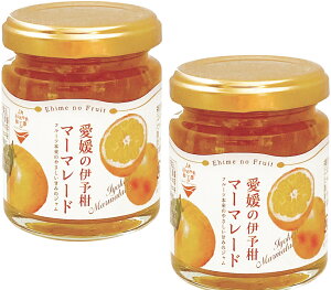 Q̈ɗ\}[}[h@120g×2 v240g IXX