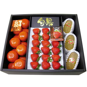  ʂ]t[c ʂЂ߂Eʂg݂E΃LECl 11{`12{ ws 쌧Y Ԃ~J g~J Ԃ݂ g݂ g Ђ