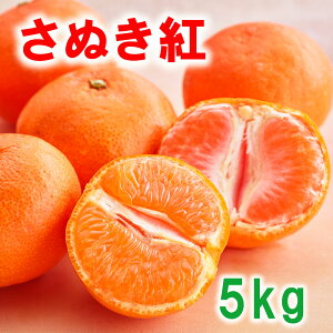 o׎12/2`23 ʂg݂ 5kgi40`60jx12xȏ 쌧ʂ]t[cF g݂ s꒼i 쌧Y MtgԂԂ~J g~J Ԃ݂ g݂