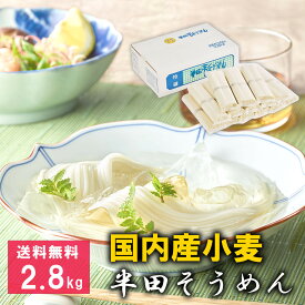 送料無料 国産小麦100％半田そうめん　2.8kg　半田手延べそうめん 半田麺 お中元 ギフト 自宅用 徳島 半田 めん 半田そうめん