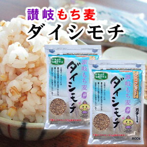 _CV`  Y 1000g ] _CV yH@ @\\Hi Y  Y     H㌌l