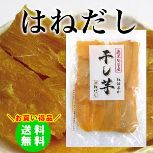  ͂˂ v500g Y ۑ Y ق g͂邩 炩 ˂Ƃn   Y 󂠂  y؁zy߁z