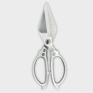 Lb`oT~ V XeX ƒp   { nT~ ؂ Hip p oT~ ē pnT~ @\ p ͂