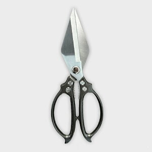 Lb`oT~ V XeX ƒp   { nT~ ؂ Hip p oT~ ē pnT~ @\ p ͂