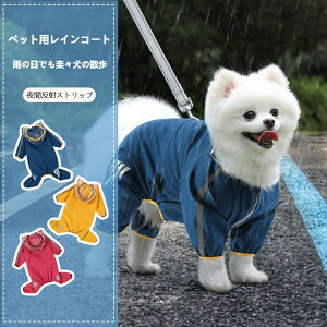 ^ CR[g lA h ybg J ^p  Ȃ CEFA SgJo[ U ~J΍ rV t[[ gCv[h