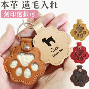 ybg A L[z_[ єۑ L  ٖ LOObY gїp L[O [{g ^  P[X vo L[`[ Mtgp   ybgX 