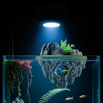 楽天市場】浮島 水槽の通販