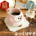 還暦祝い 母 誕生日 50代 マグ カップ 美濃焼 名入れ 【 パステル ふくろう マグカップ 単品 】 母の日 ギフト おばあ…